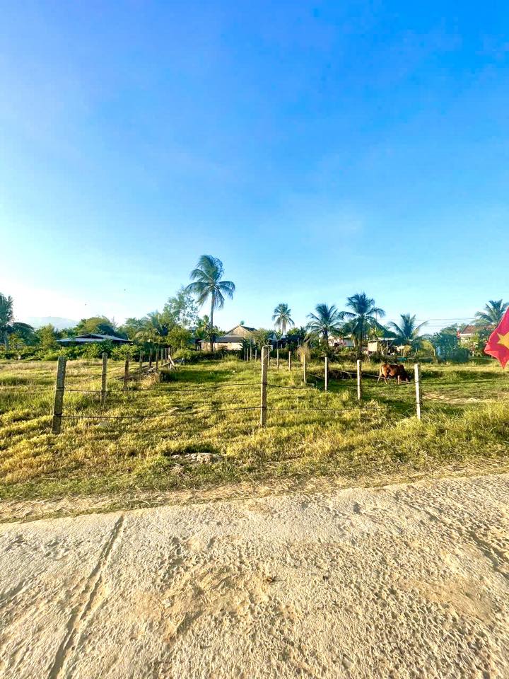 537238867_1292830275756946_7459101017264816716_n