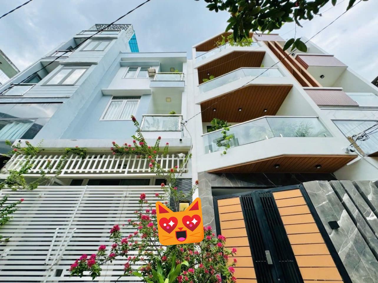 537643548_122141845544831230_7816991192072508544_n