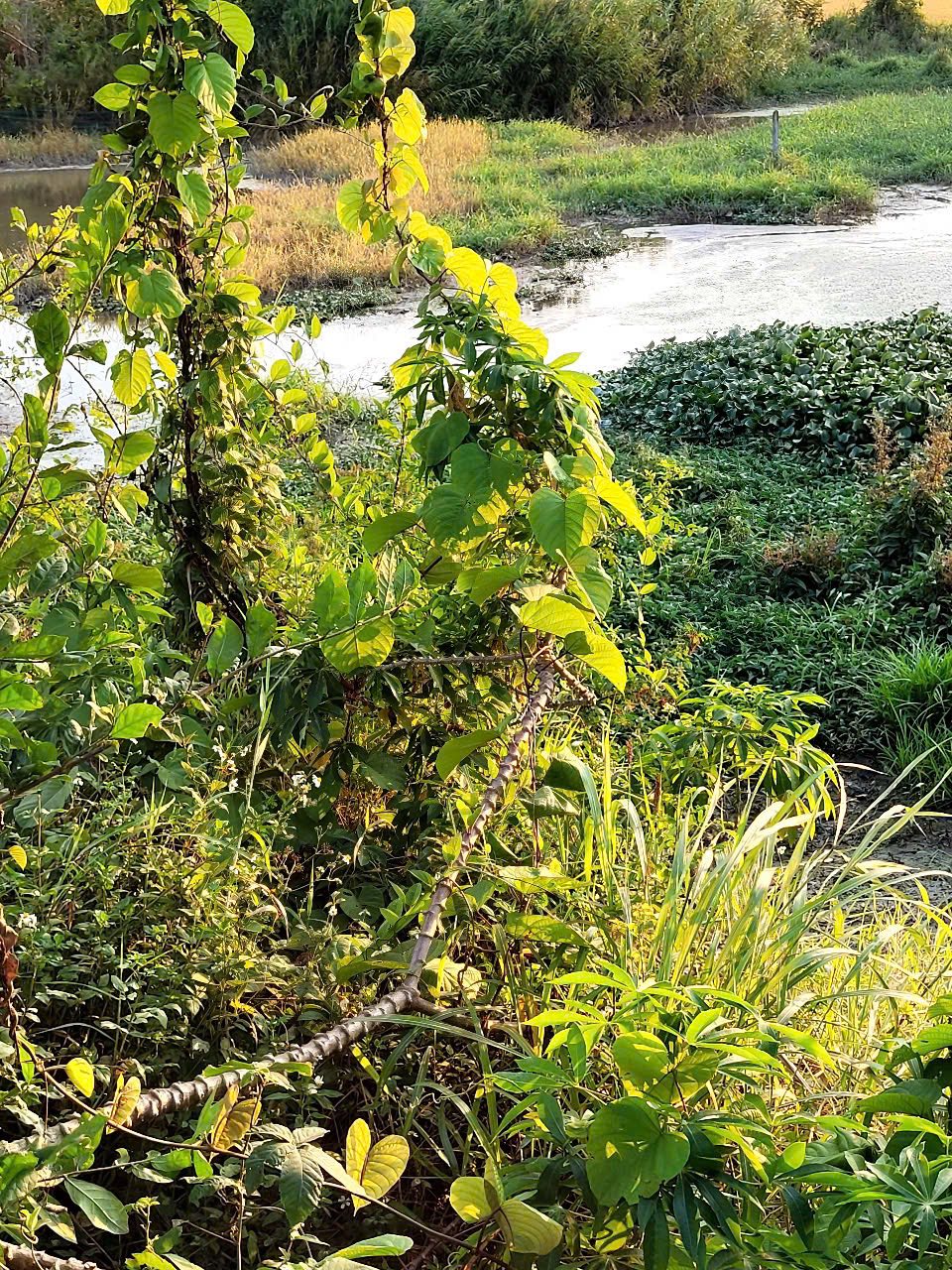 538410393_1296846012022039_6723538548724737683_n