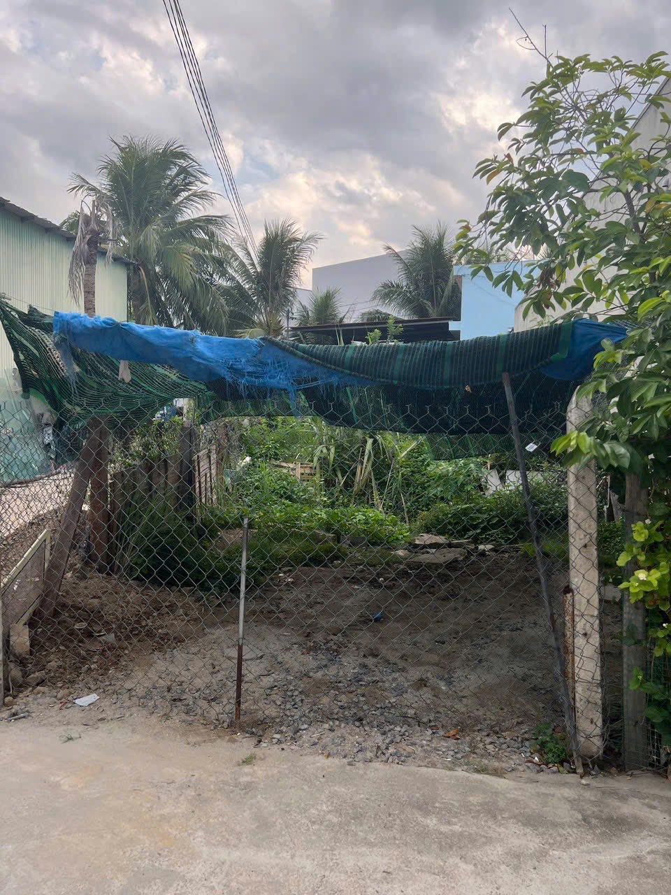 539228304_4491130784545510_1092072155248521238_n