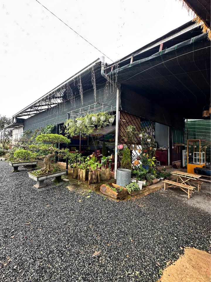 539331605_1473231723955226_2716419922268382848_n