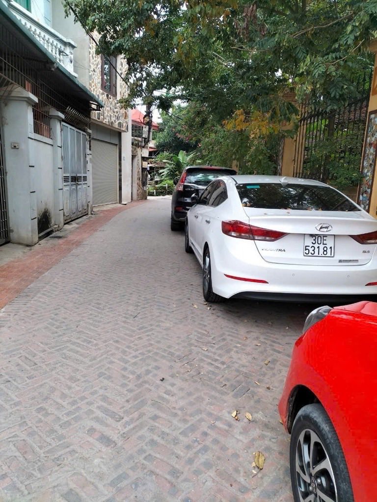 540451016_1164929865447444_5516239669457764124_n