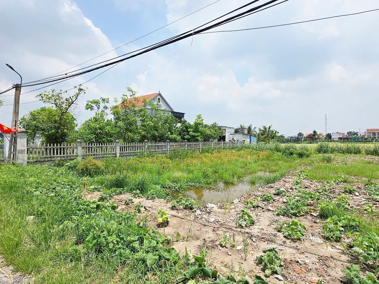 5a81885cf1167a48230748