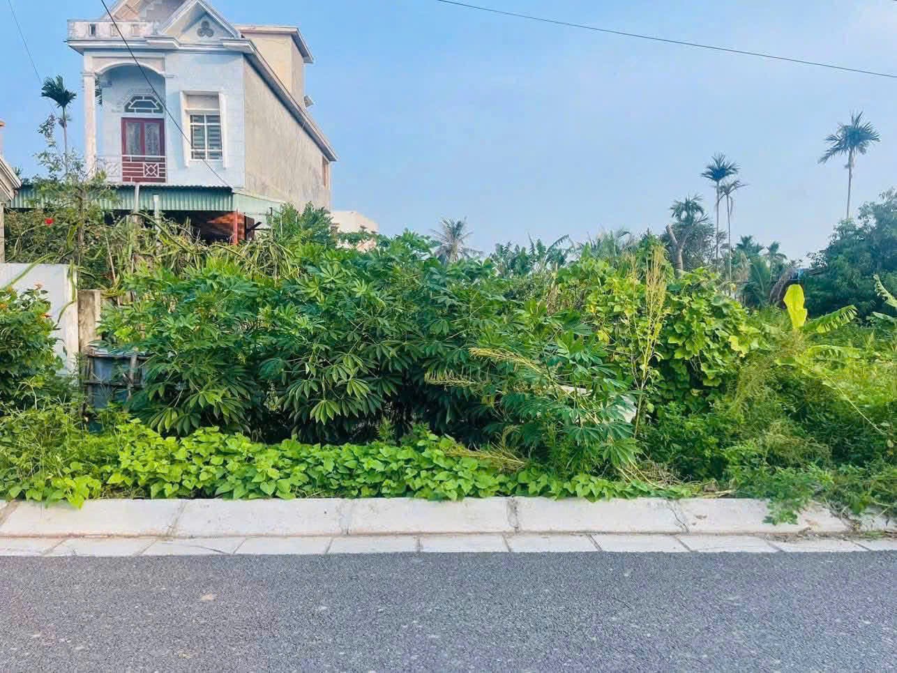 5c1dcd792dc5a59bfcd461