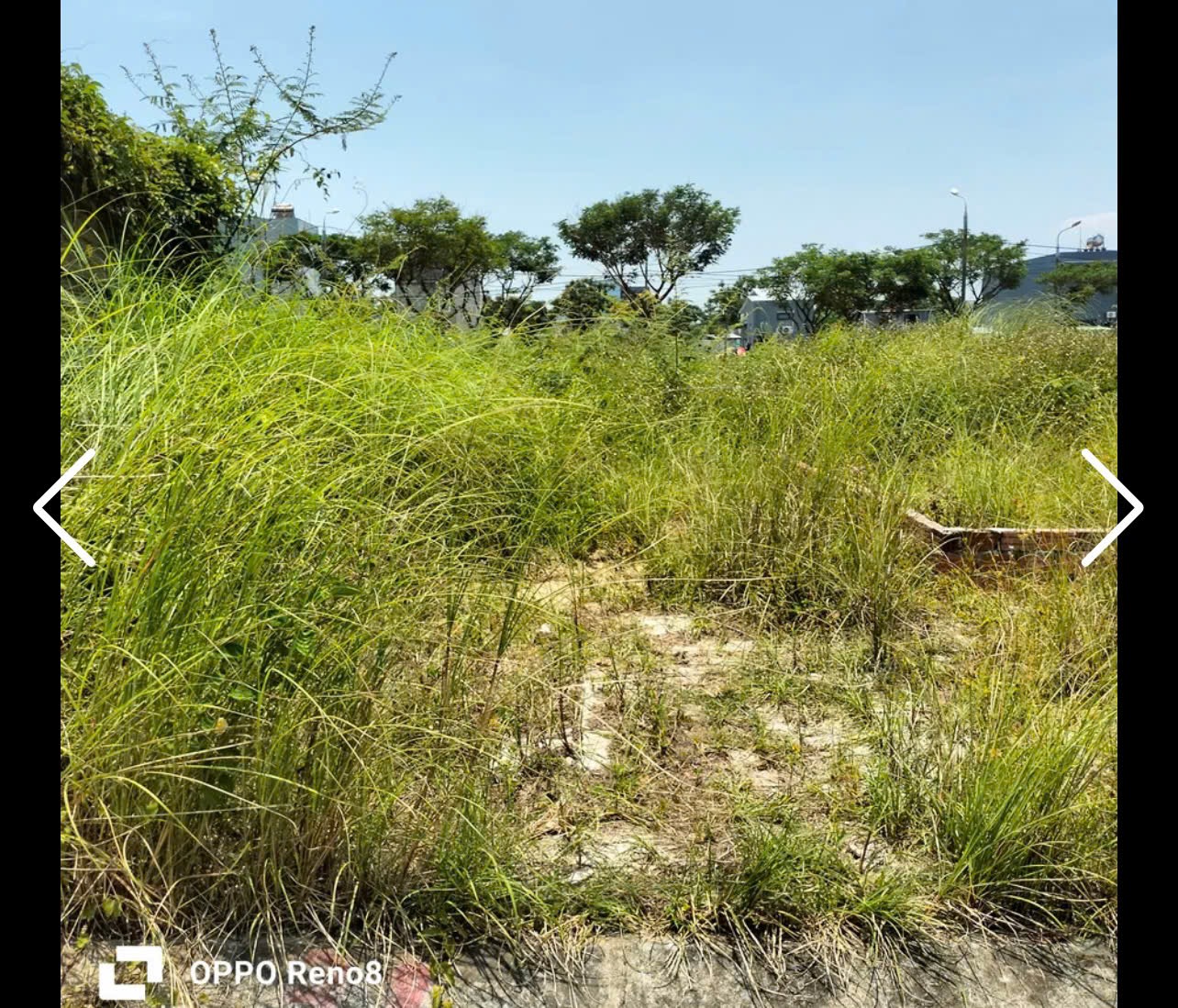 6AE04A25-FF01-423A-9C34-E2F9153B1766