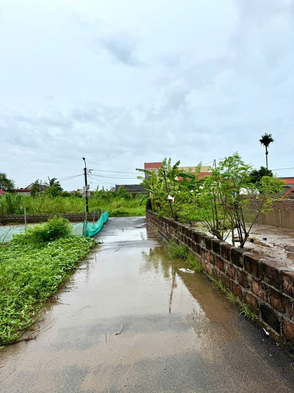 703cf23cdc8e54d00d9f46