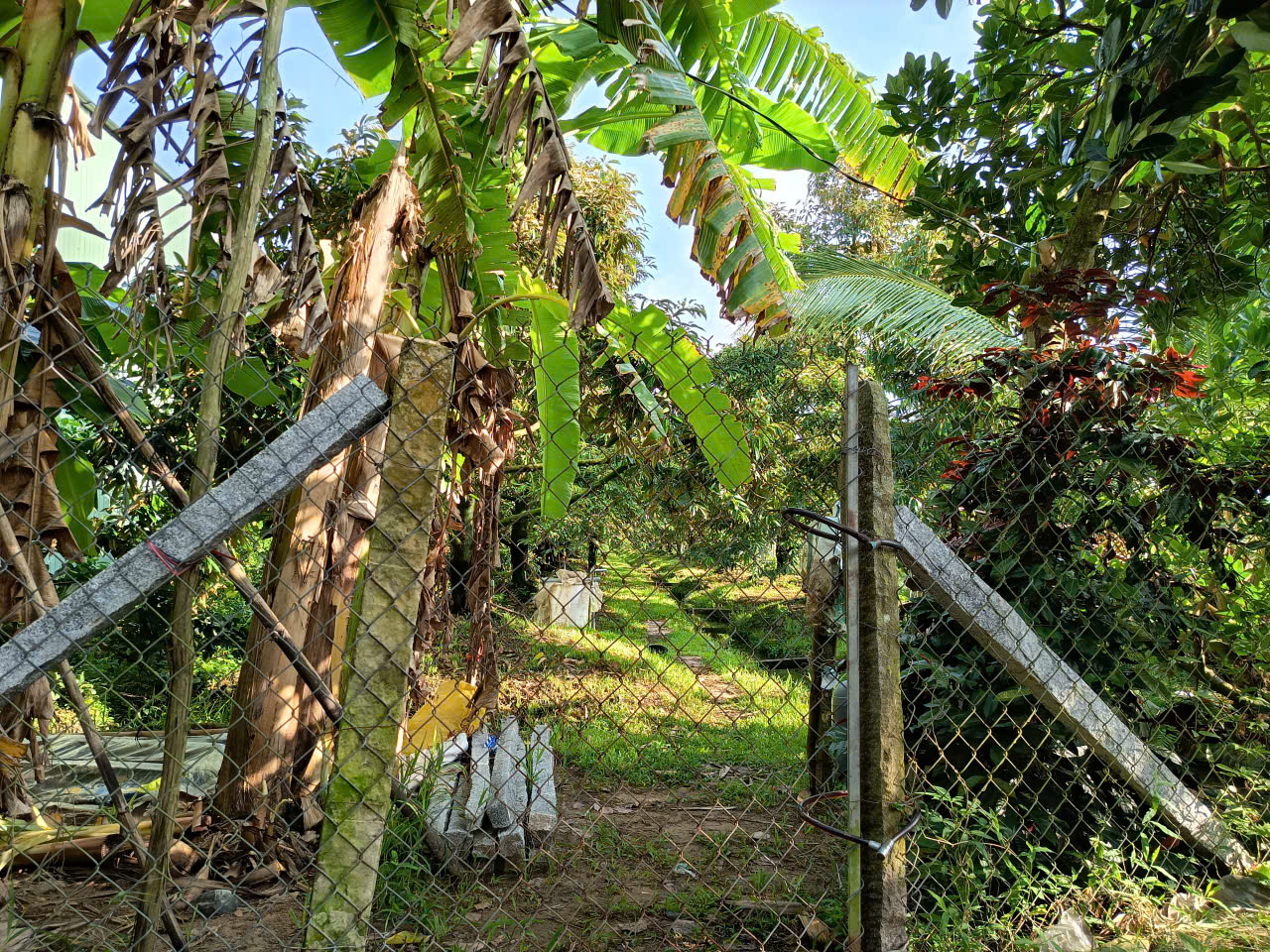 8463d924d5c75d9904d6