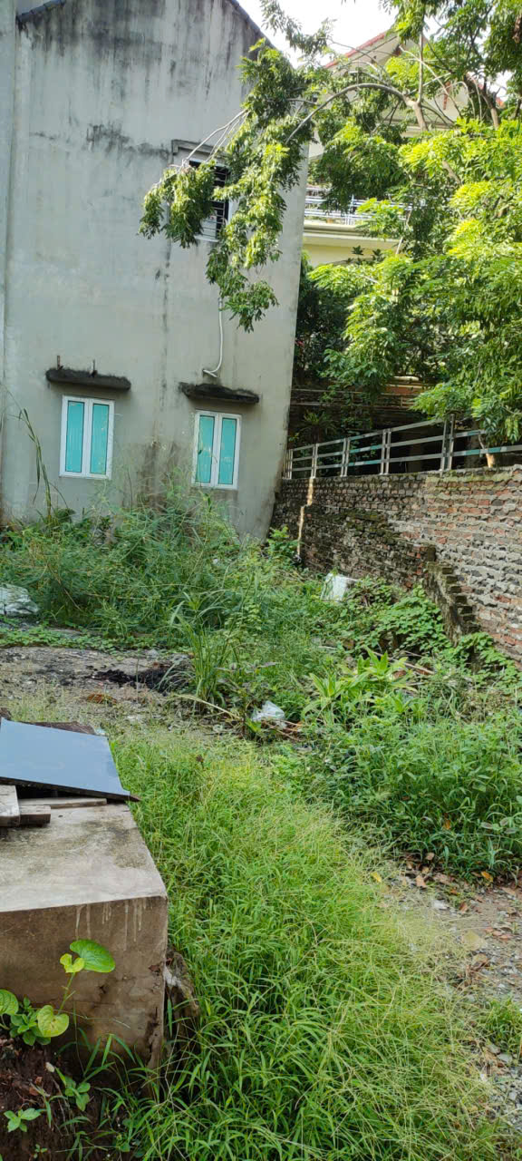 ANH DAT DAU GIA (7.5 TY 12.0825