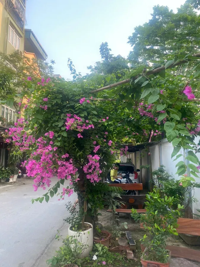 a28380e2-68a5-5272-9927-b74dd203bee4