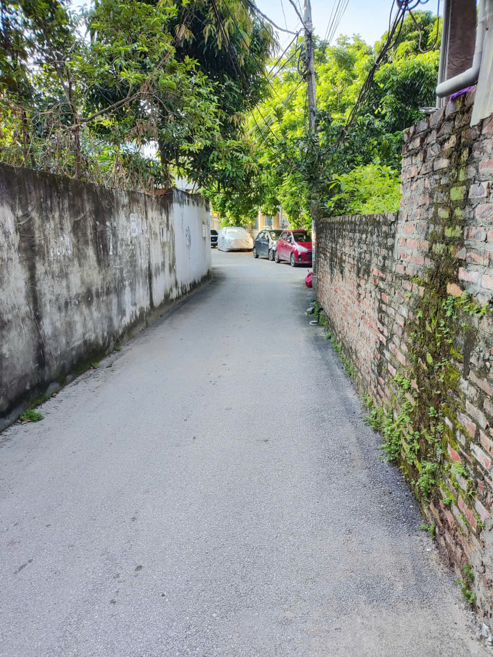 anh dat  dau gia lac thi 63m (7.5 ty) 2.8.25.1