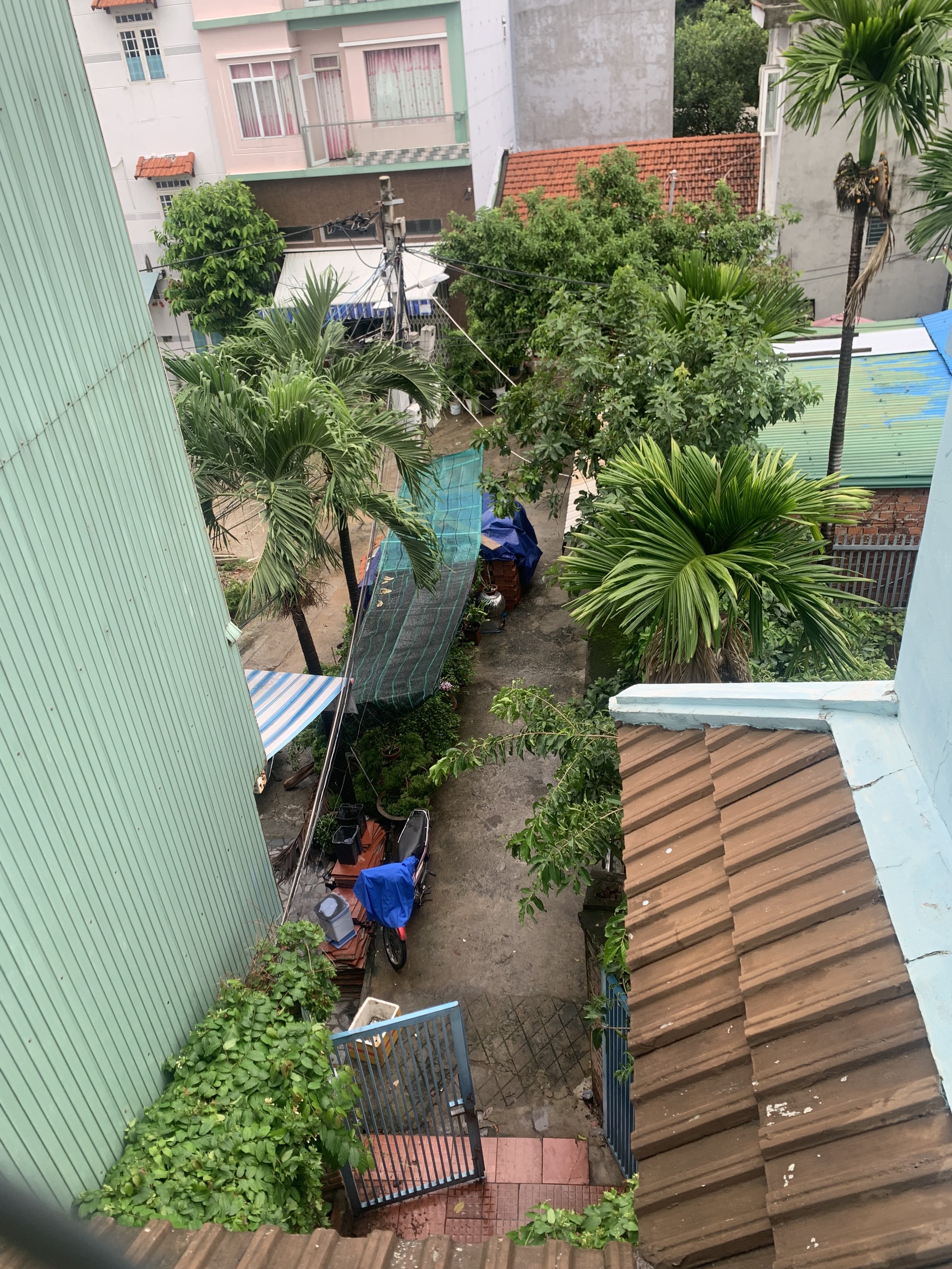 image_picker6757821657450473466-1