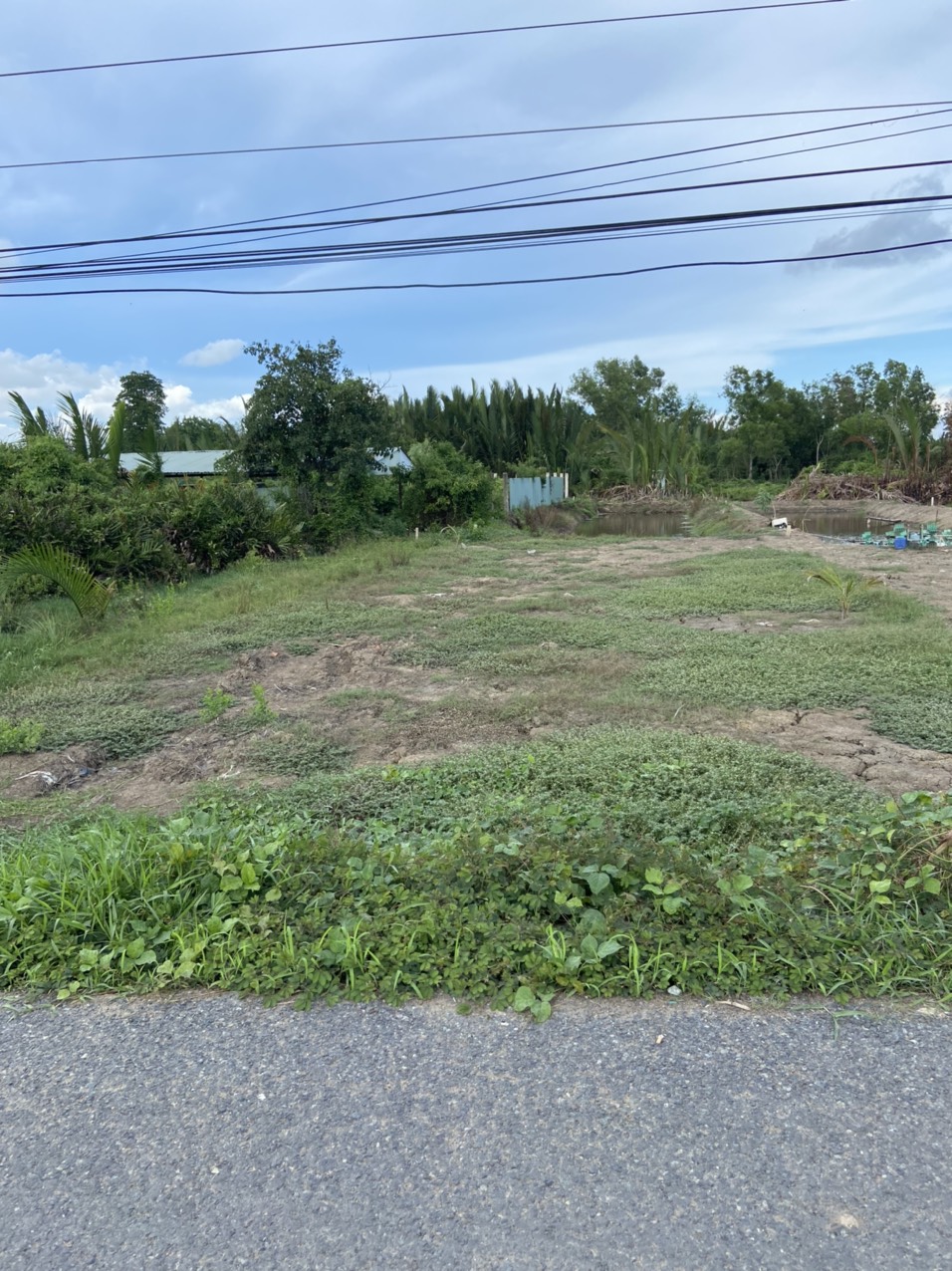 z3464422930062_7f9b43e14b9d54c3f11acdc01988066f (1)