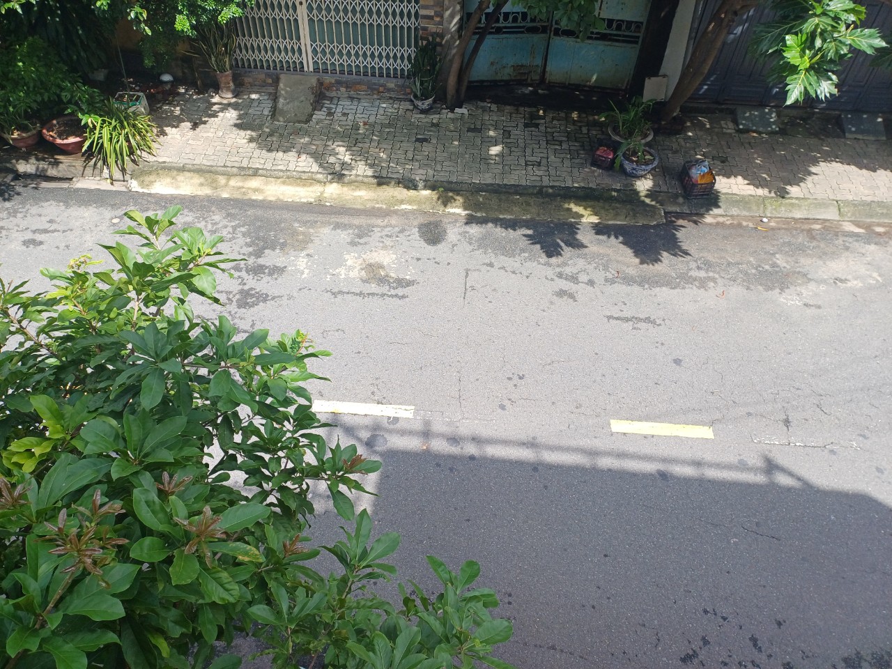 z4861054605658_a295255dd7caeca94f278073e176d7bc