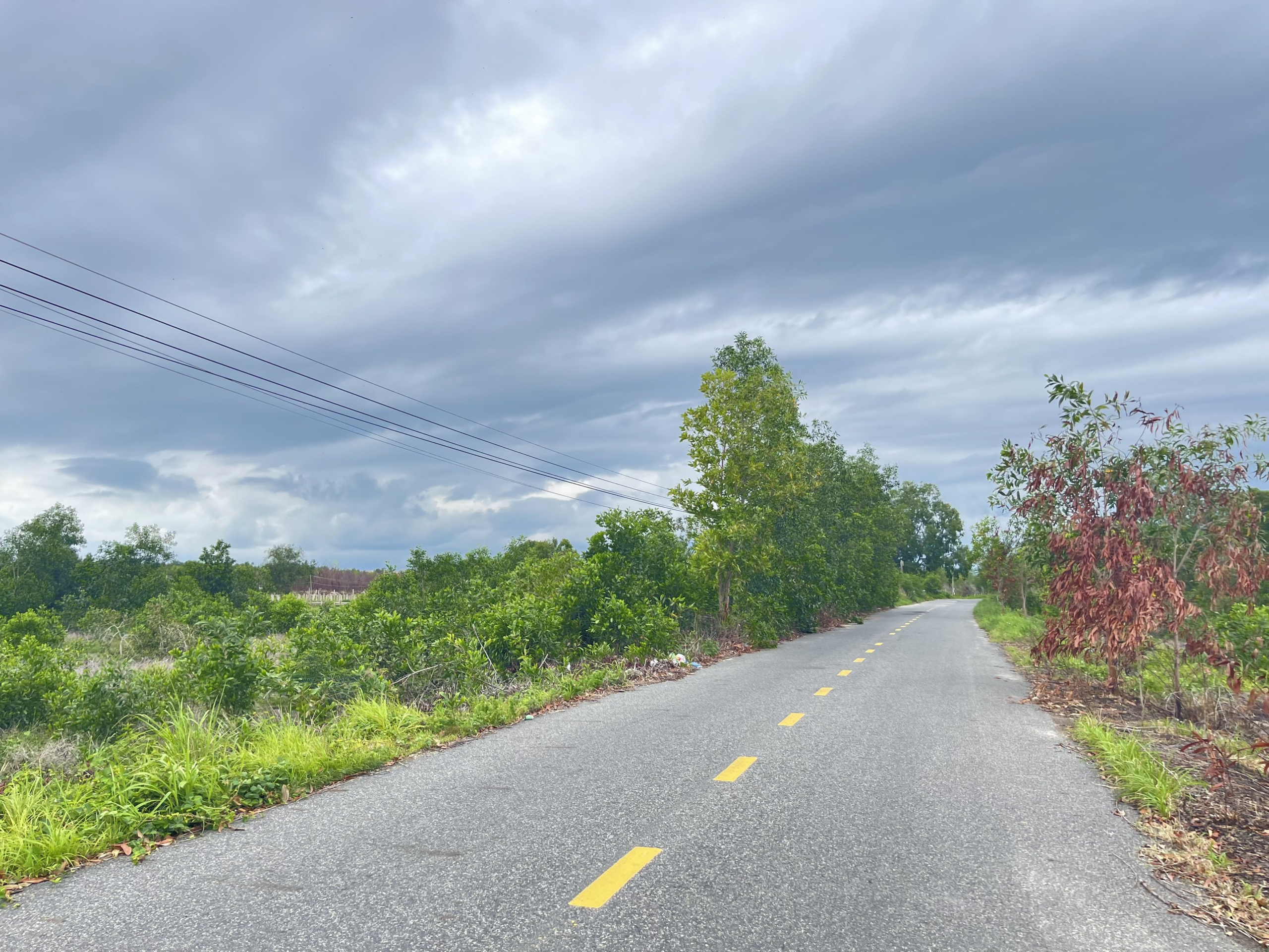 z5609909430326_8513135fc8957f5f852aed50108dff3e