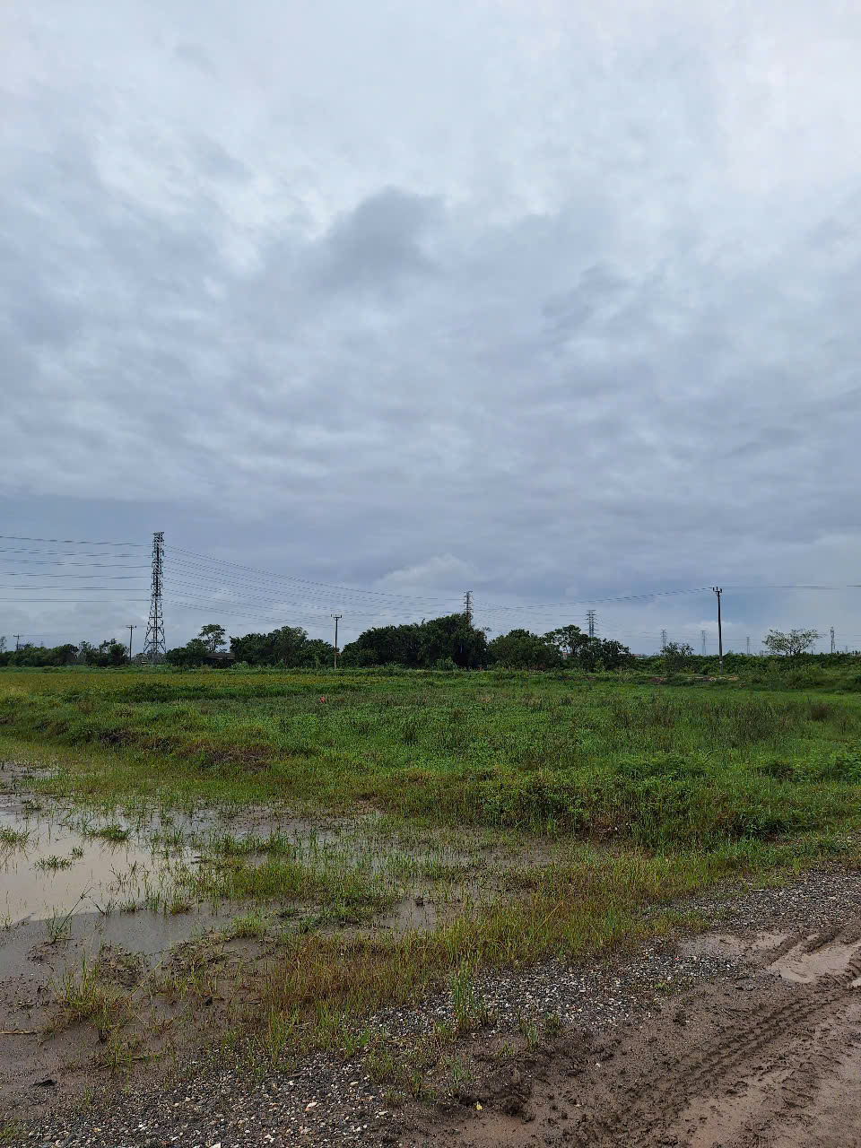 z6191892629935_807973571c6a04331e9a6b3ef81fc2ac