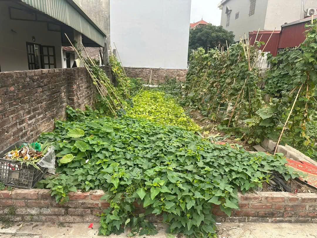 z6401760918396_212170b3663937714bb51d519fba9df7