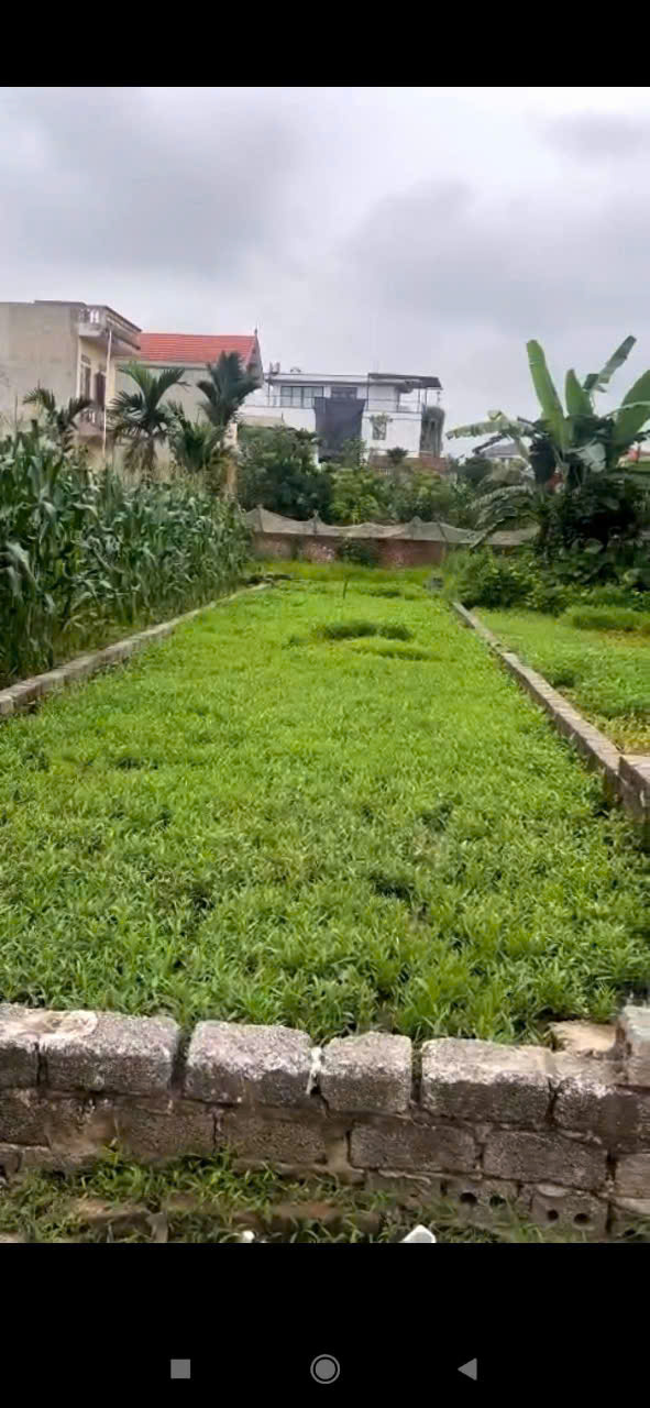 z6640838399417_53bdcb9a130c9df2c250f782608eccda