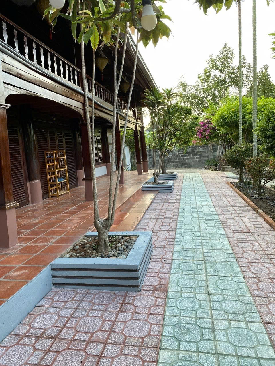 z6764300875019_53540bffb5306cc59e691f97c98e6774