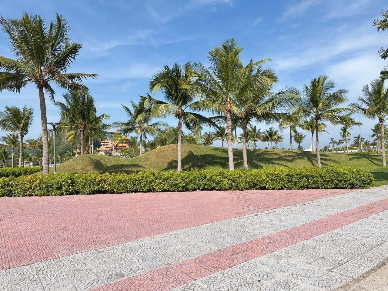 z6789197304684_ae12d3ea46e5a4ed7d6eff11e5ff230d