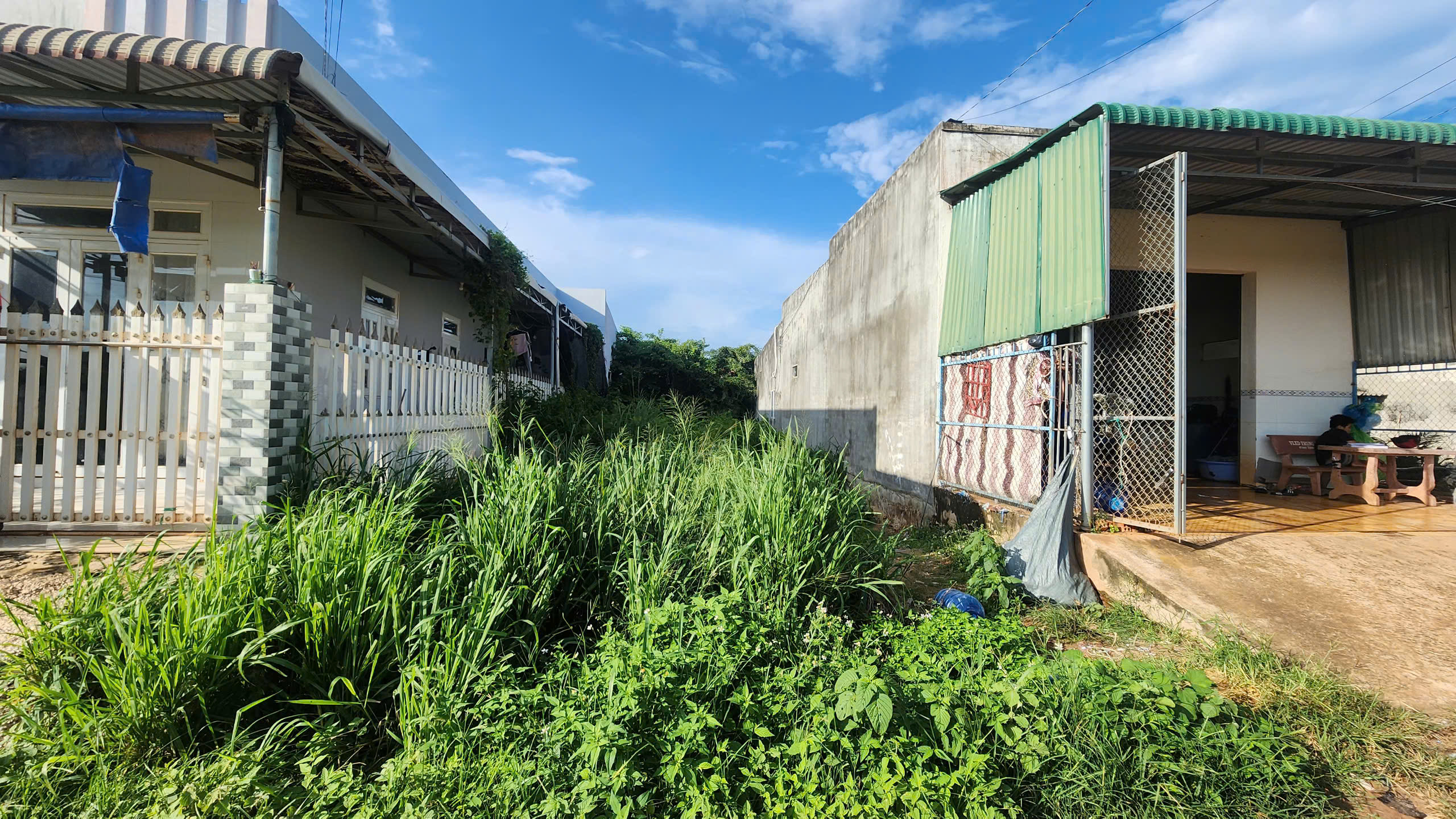 z6801045394890_74f3171c7713c6c6bae543c7f3344785