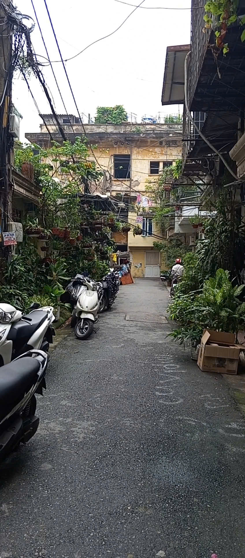 z6806164007329_7ad312a77018d91e629b478ede2a377a