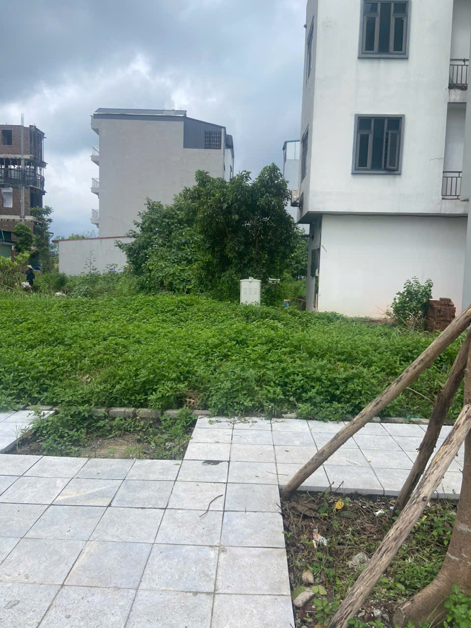 z6836469828914_2a628ee91261214dfe888bf34241e965