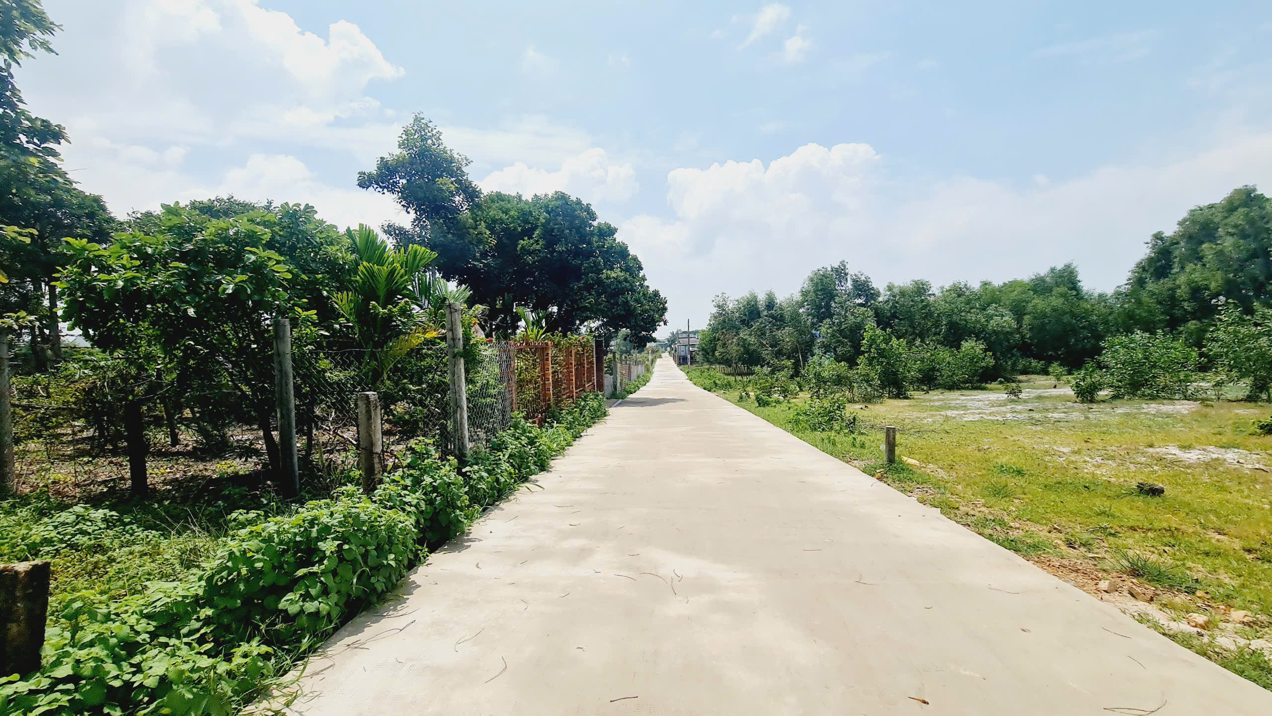 z6840410406162_5c0c0760b6a9f4491552bad48fc81fb8