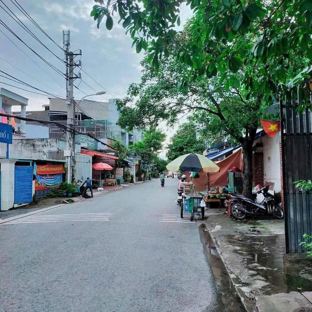 z6858697332723_69b17e0dd464a3556b3ec47f9b6bc486