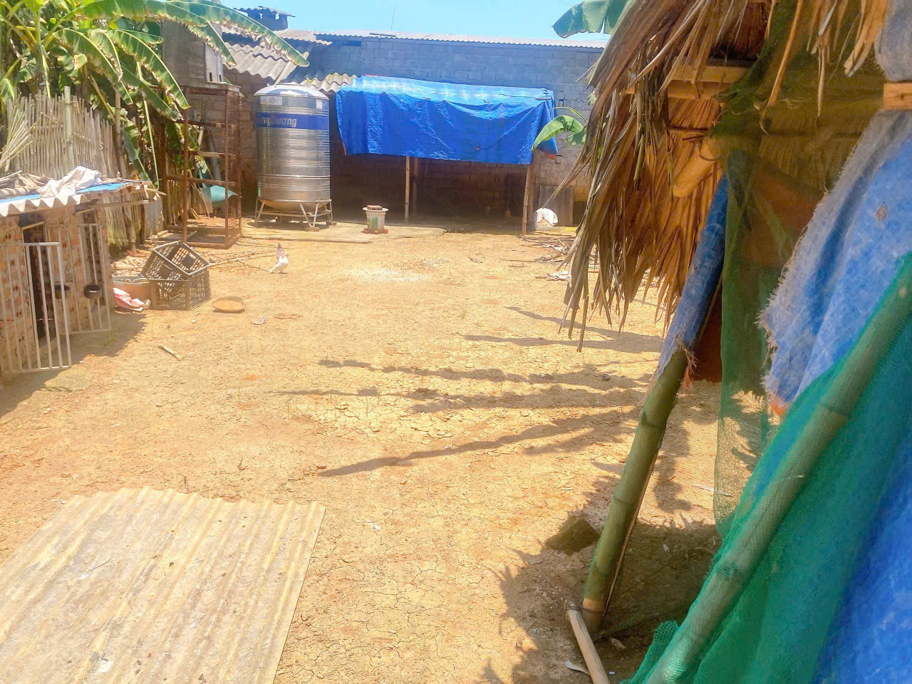 z6862906394043_01f9b160f1ca0659faf13e502ea6f68c