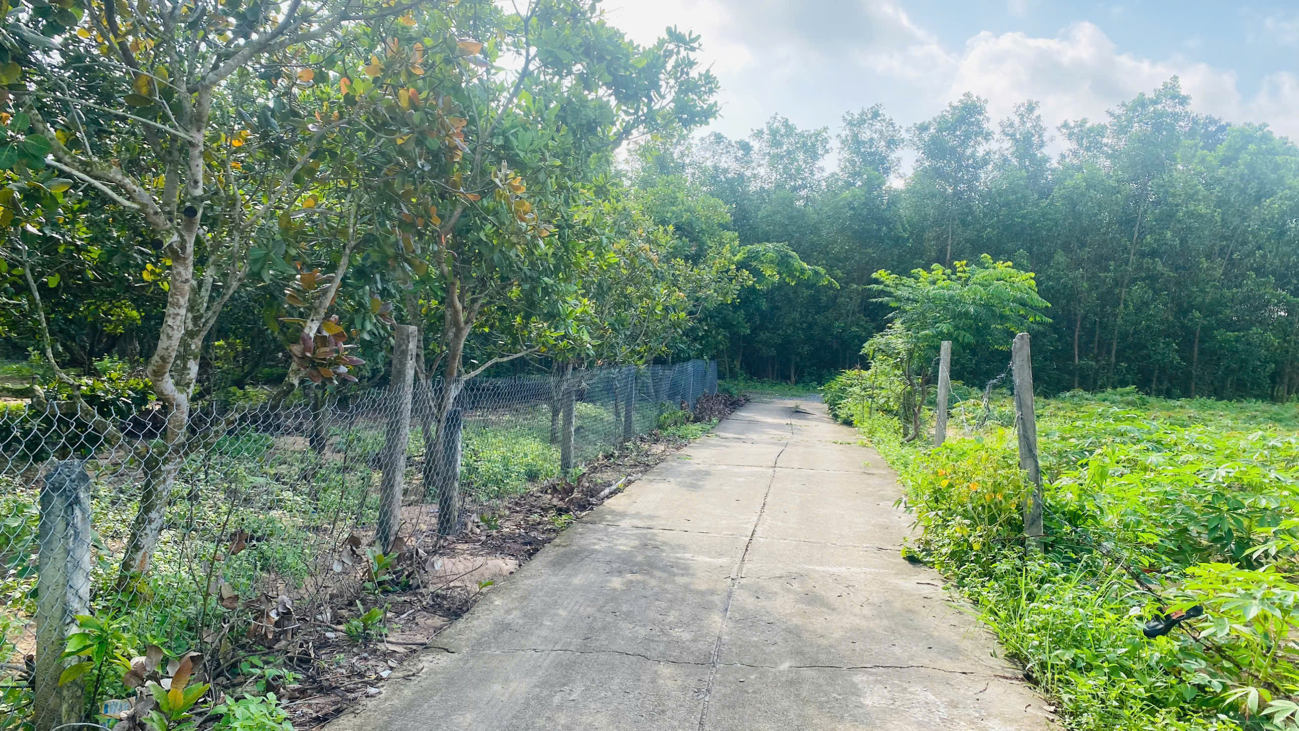 z6865209049767_63e7944f43f5b64c3dd1aba501043ca9