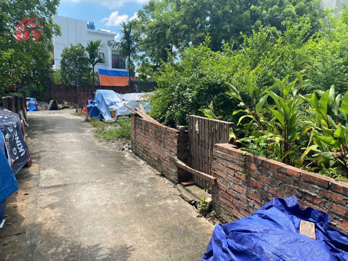 z6866361734543_bcc972b50008cf6880226454f1d81cec