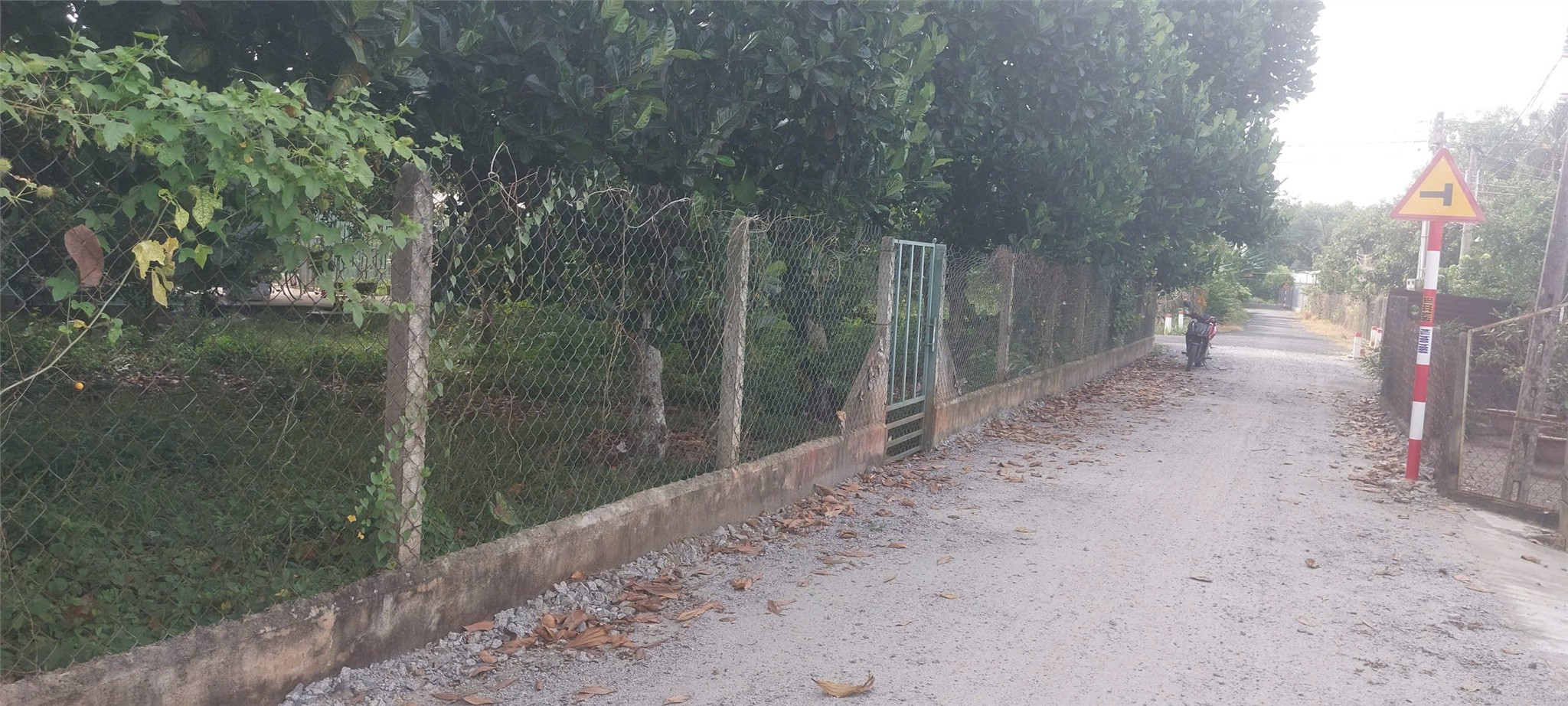 z6871271270458_8edb8093cc82a8fd98cb29ba9b9ba8bc