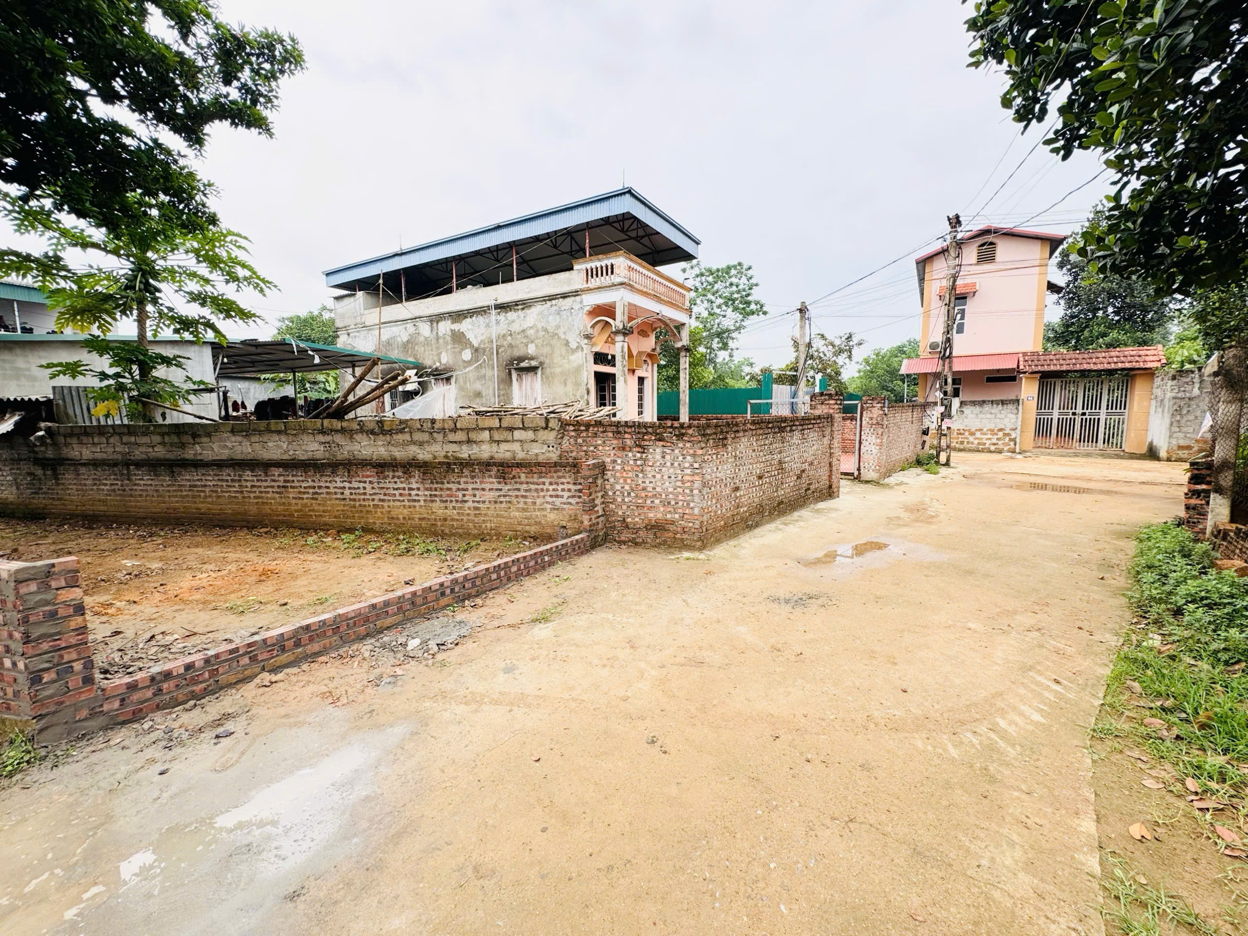 z6871418501892_f0250680b4d34897b16c706edf2d0ead