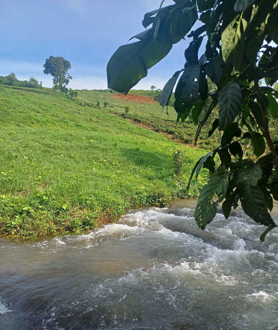 z6871552614565_9ad12b3a46fbb5e46712ecbc95ba751b