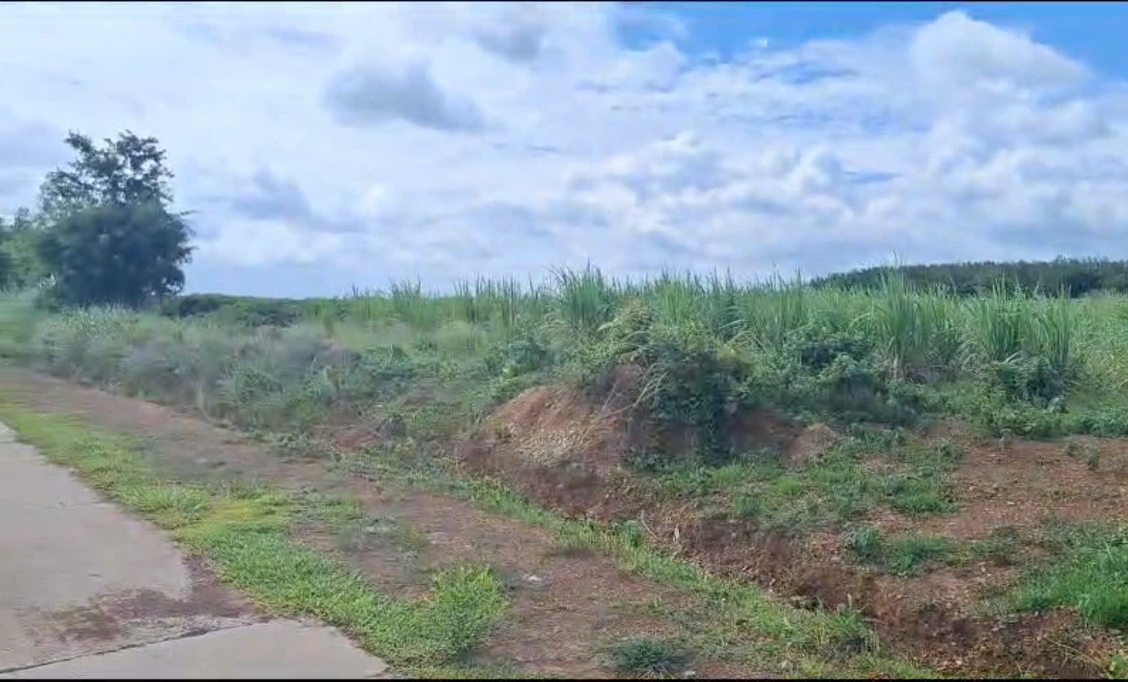 z6872736549156_970dad081d4a53d7461717283417fb73