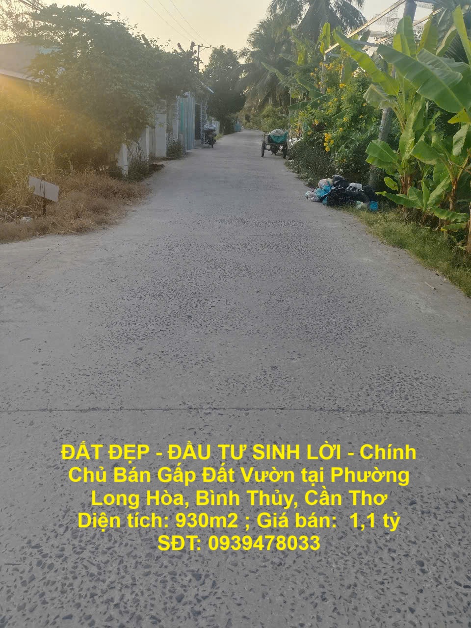 z6872957672605_003b2edda355fd9bd3433b2fe47ab4a