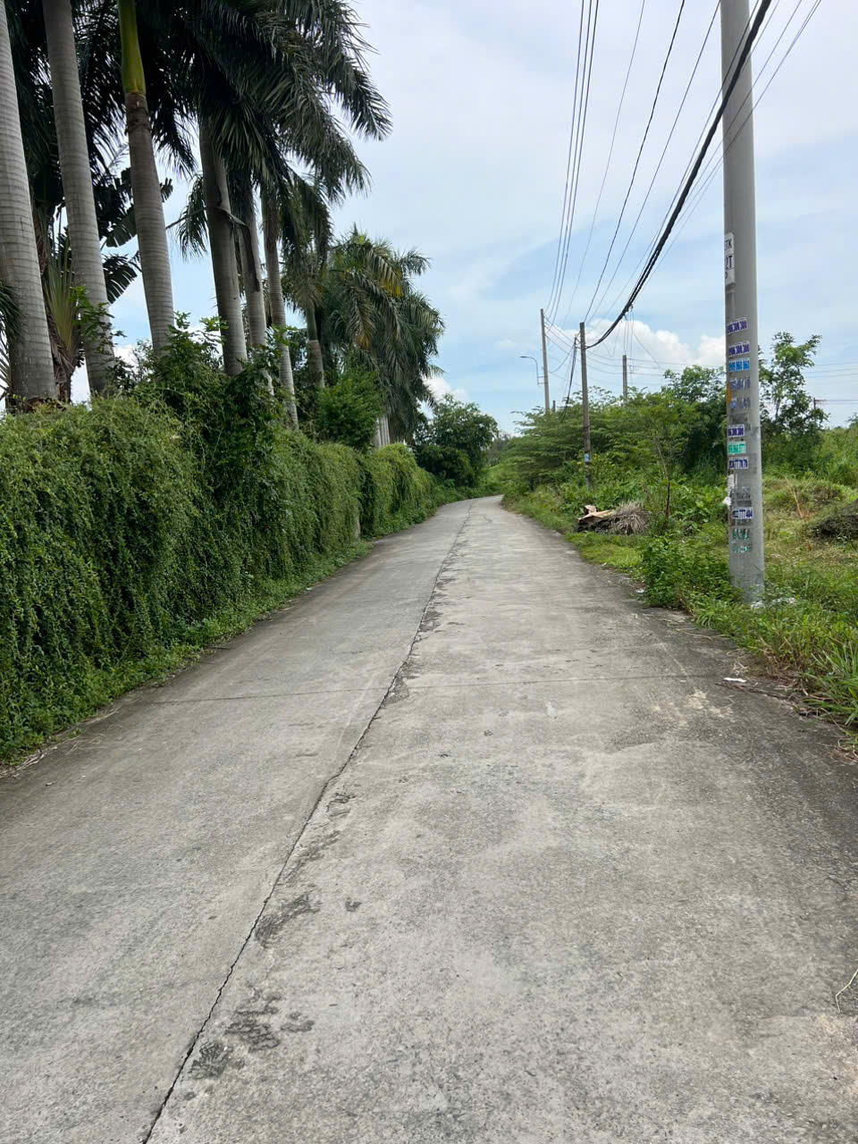 z6875224519536_82e02557f6f493716c1257743f95ddd8