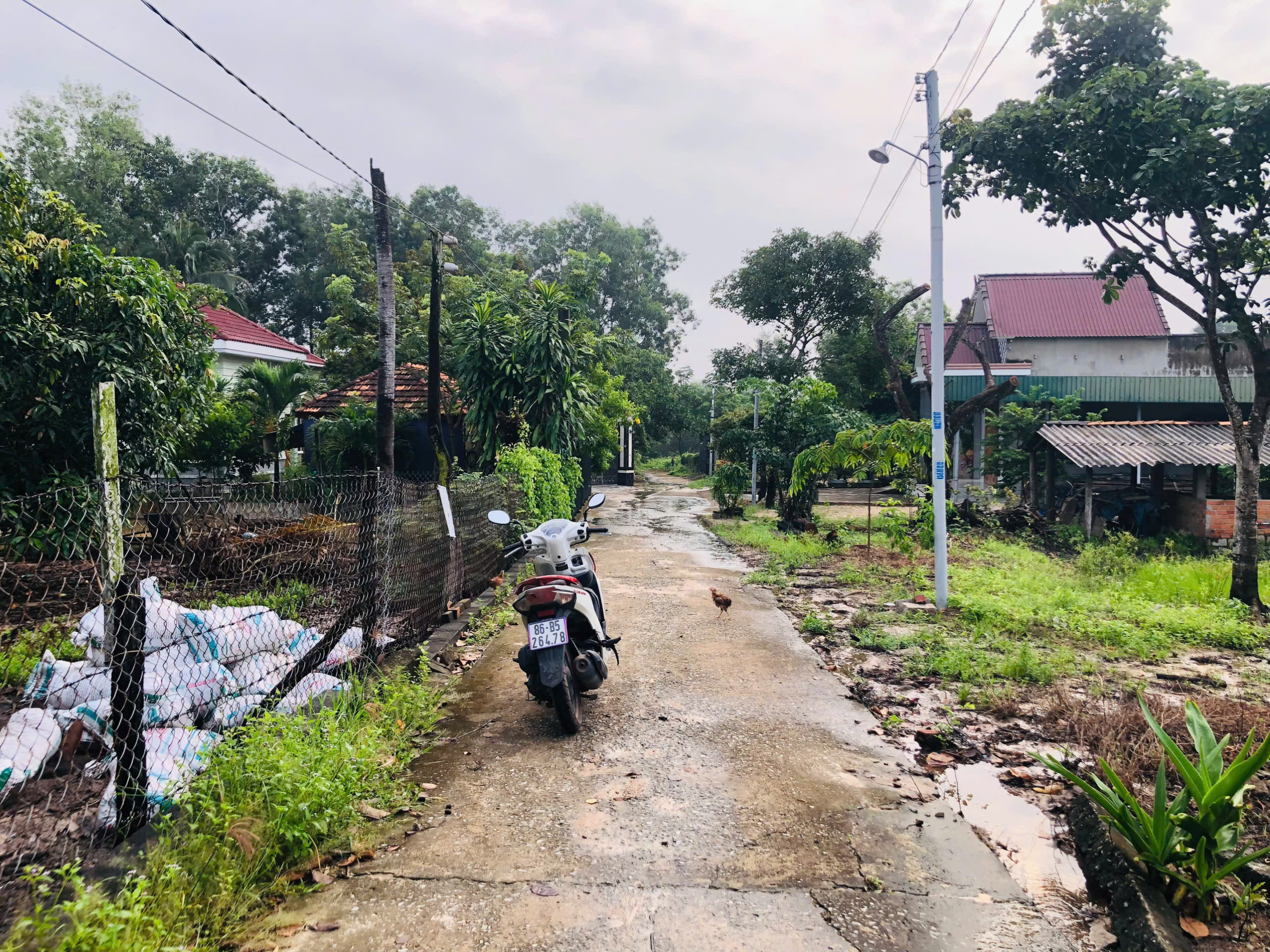 z6875752268750_c43bc41f549cf331e131cde41306e698