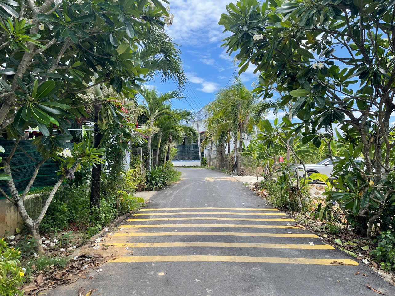 z6875988717936_a30be807cf4a3e6121e89b3f9e4f874e