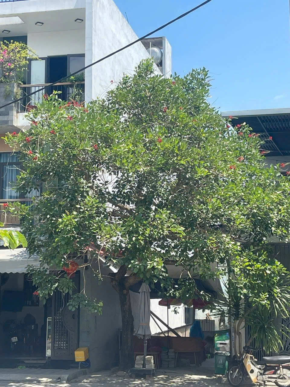 z6878247889337_e3ca476c2b03d6ff4313c926015b0fc5