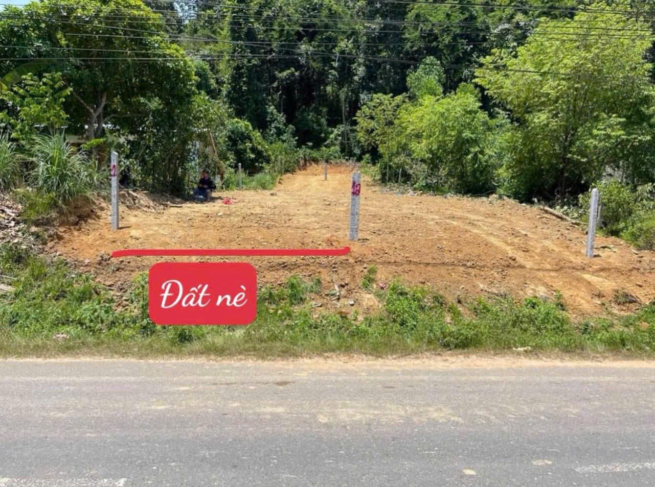 z6879978159258_fe1fcf3d8a316c96b5791094285029a2