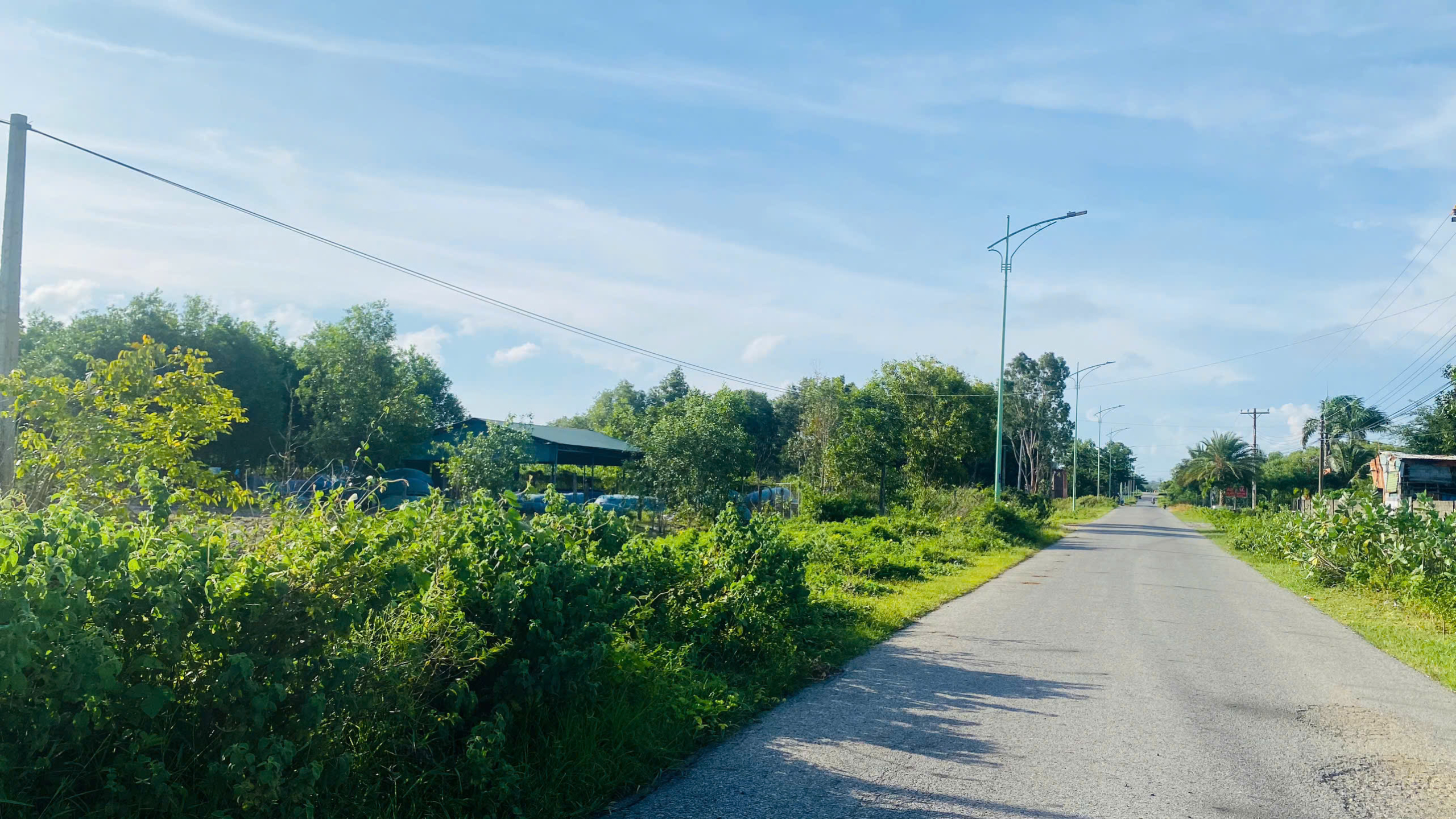 z6880129735757_af5c8546eb51e826cd6cca877caeeea7