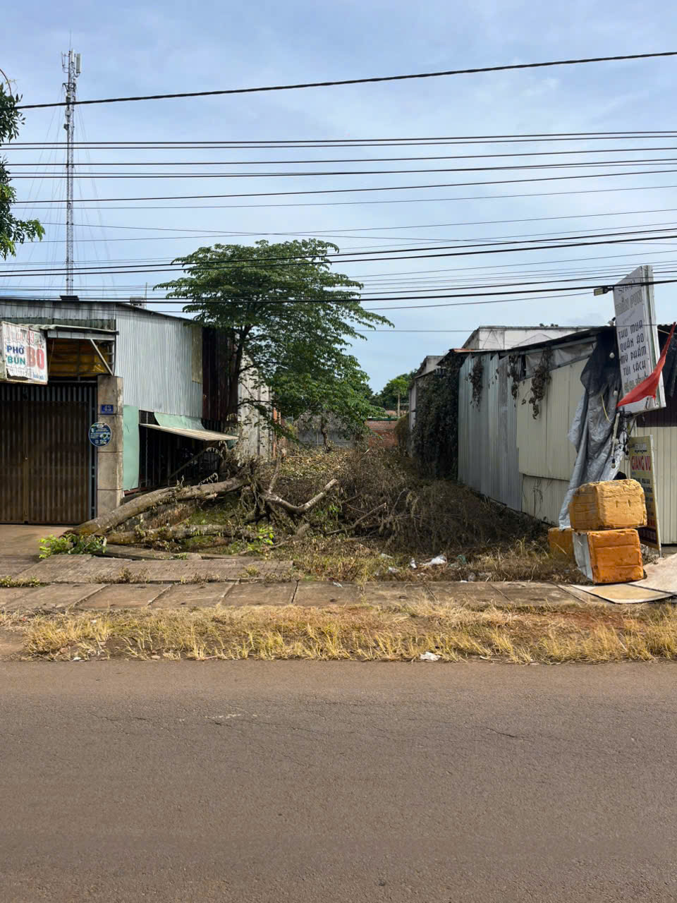 z6881711726662_ed9c2b47cd24aa52d4a28851c2c64828