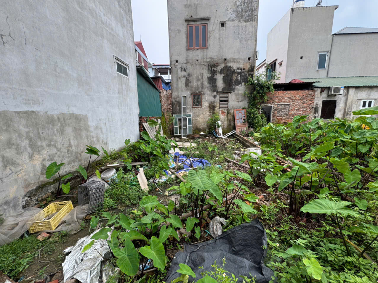 z6881884334069_af18e02a94044768848cfab2eb669f09