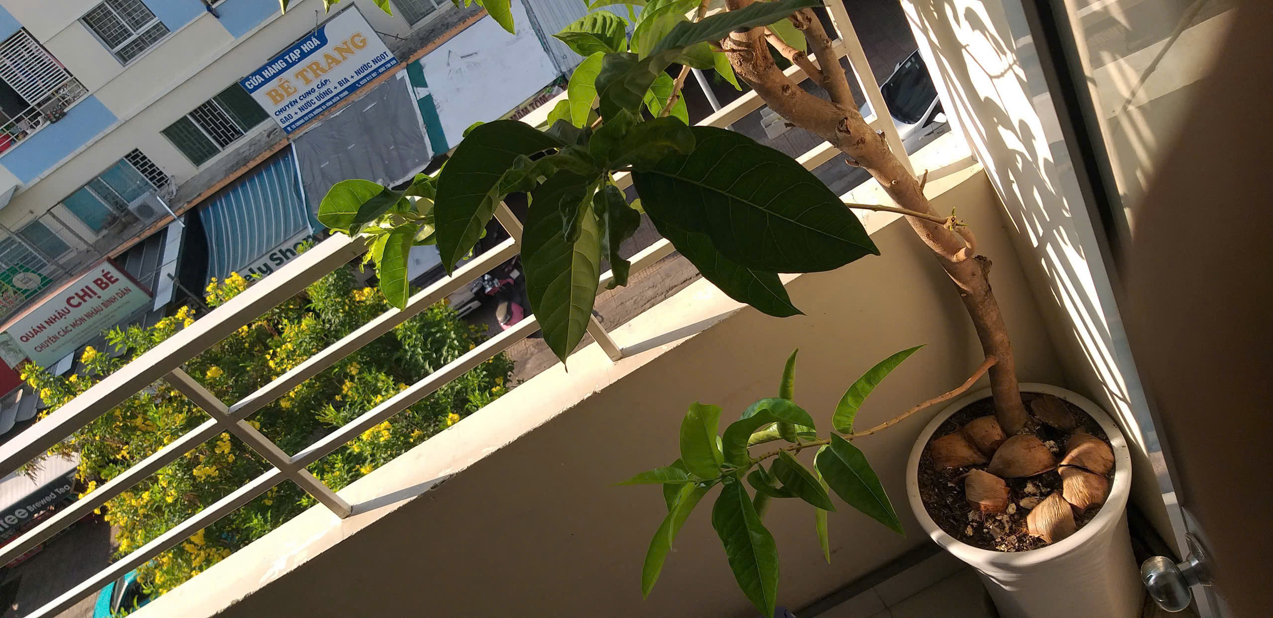 z6885131526799_4111c5ffcd8e57e57af8f53ab6857cf2