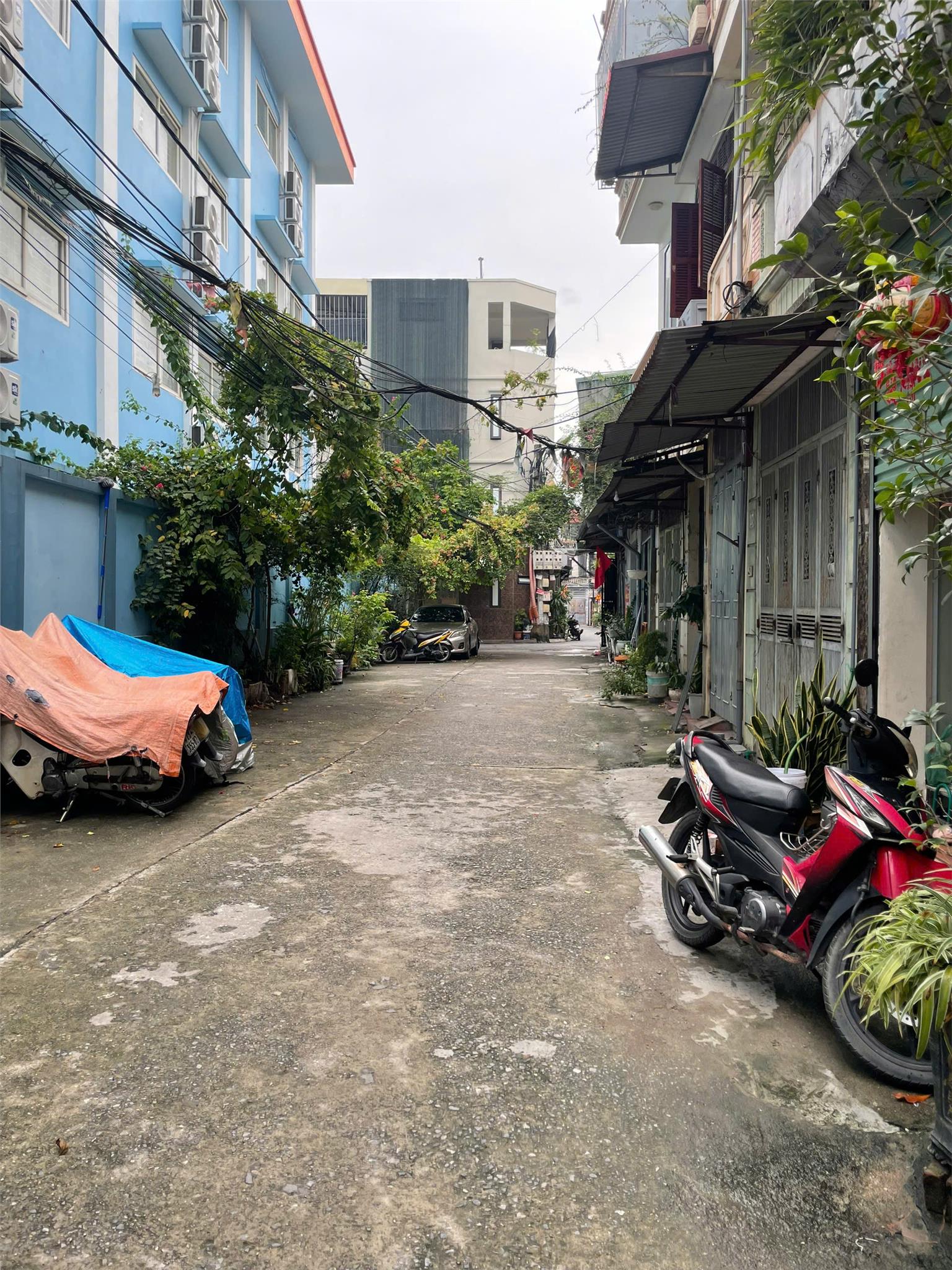 z6885183536908_cb44489d48ee6f6e9c235ed038ed90f3