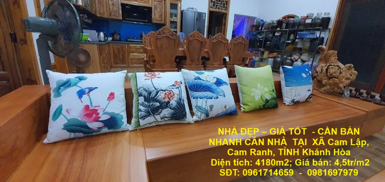 z6885245962175_37a2cc24eda378c72f7978039140eea