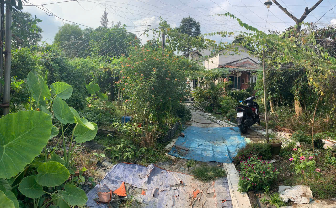 z6885412673229_78c775dadaa325f97d20dd840d7dfb46