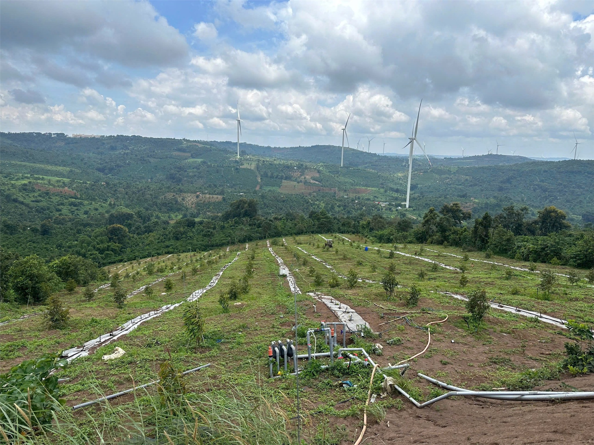 z6886230776549_c4a1c99e8442d9530b00dae48fbd5c48