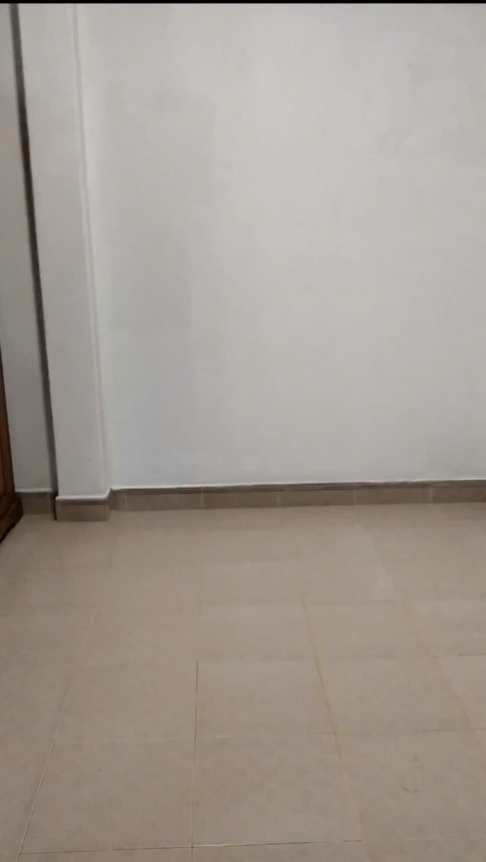 z6886661746496_1f8758fe533d61a8e40e7b7a24179e47